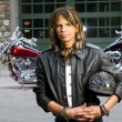 Steven Tyler cade dal palco durante un concerto